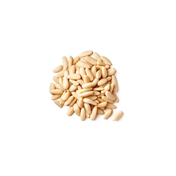 High Quality Healthy Snacks Pine Nuts at Low Market Price