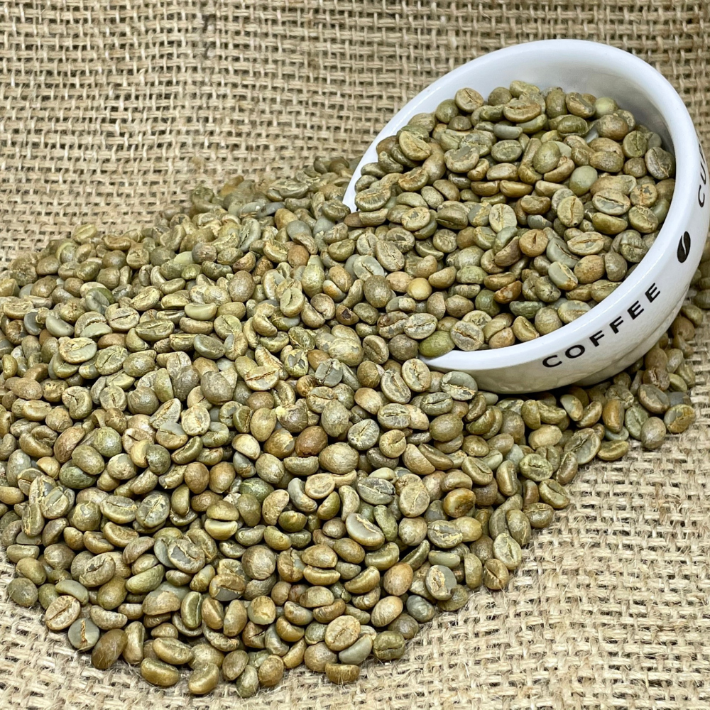 Vietnamese Fine Robusta Green Coffee Beans Process Natural, Premium Quality, S16, Single Origin
