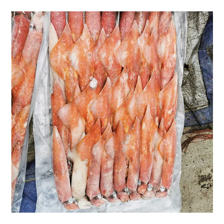 Best Quality Sea Frozen Seafood Big Size Squid