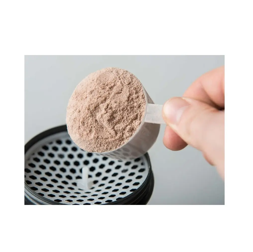 Hot Selling Price Of Casein Powder Available In Bulk Quantity With Fast Delivery