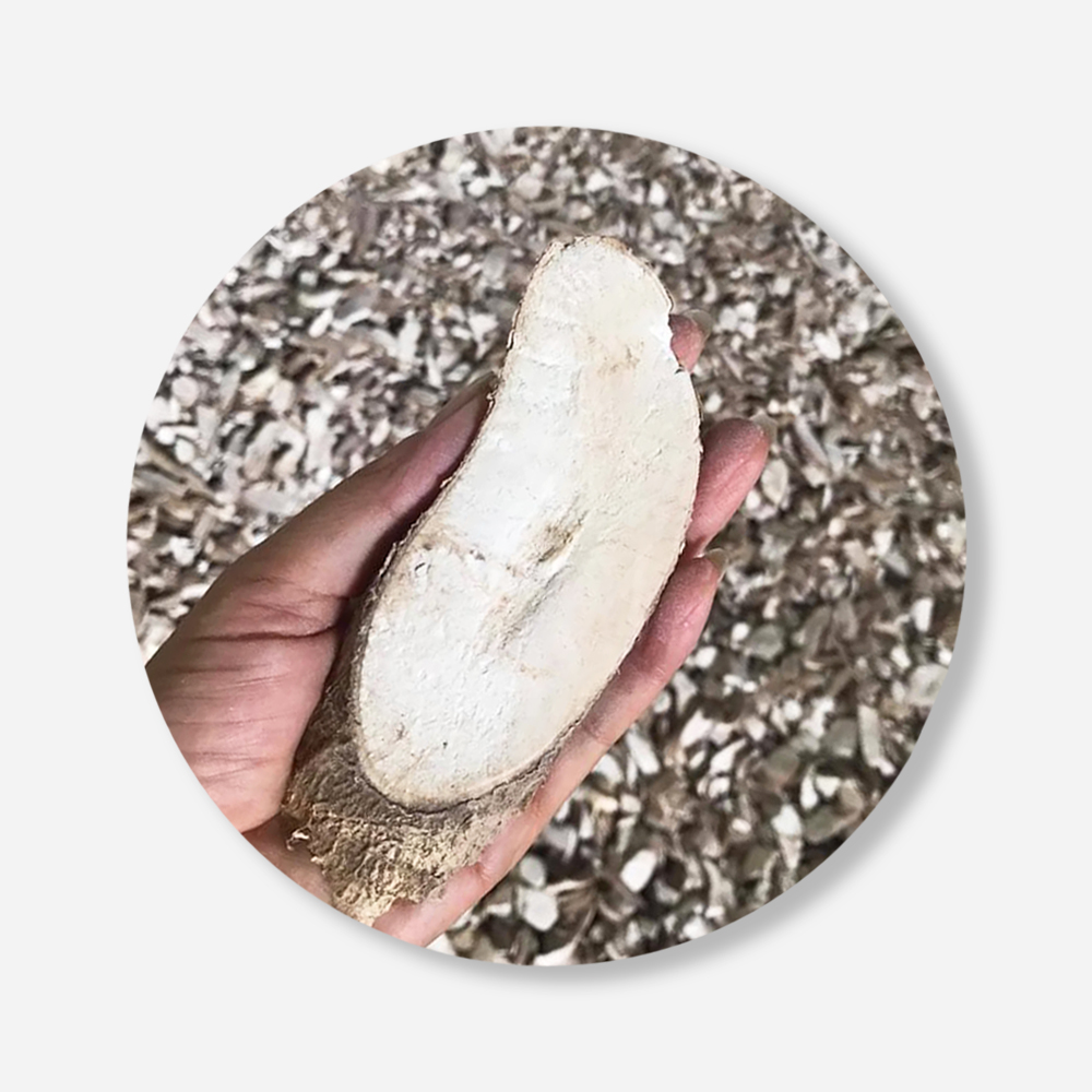 Dried Cassava Chips For Food Industry or Making Animal Feed and Ethanol From Thailand