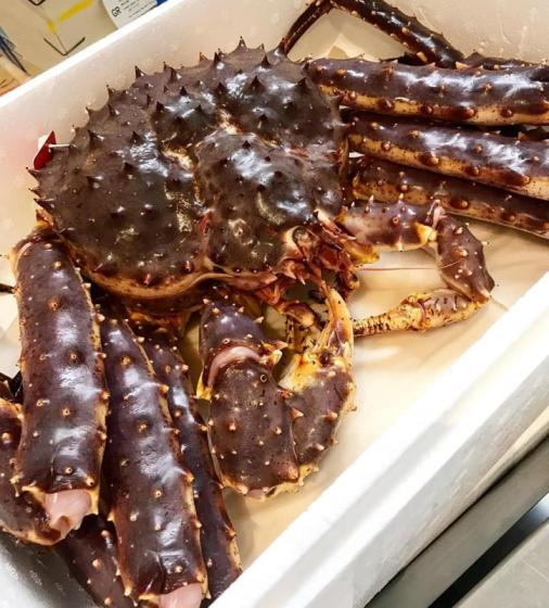 Морепродукты свежий живой красный король краб