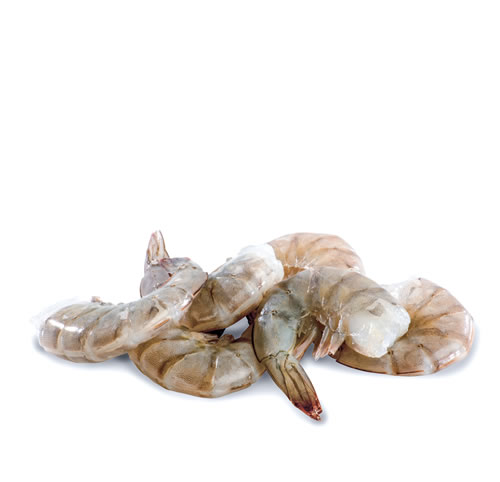 ARGENTINE Frozen seafood WILD Red Shrimp