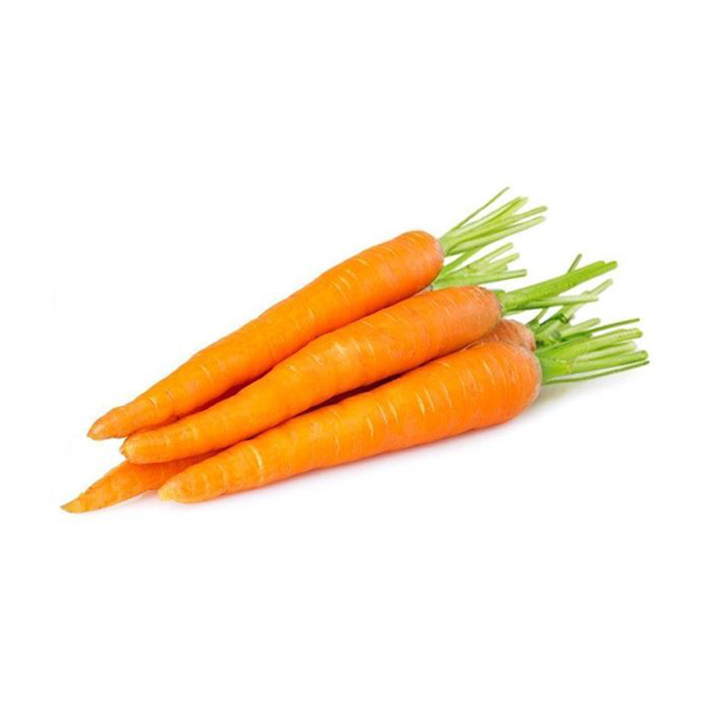 Новый Урожай свежей моркови на продажу