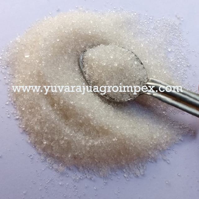 Sugar White