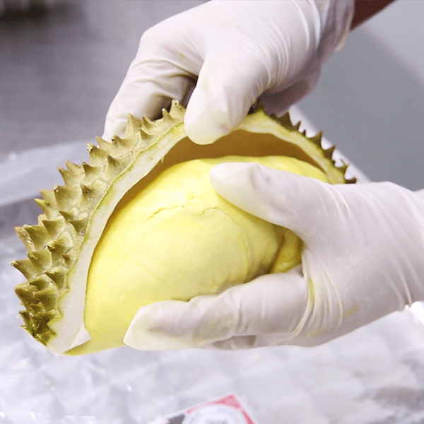 Fresh Durian fruit monthong ri6 vietnam with standard quality best price VIETGAP certification for export competitive price