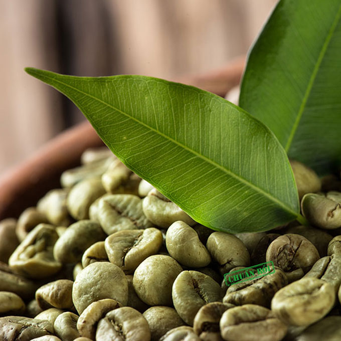 Высококачественные зеленые кофейные зерна из Кении Arabica