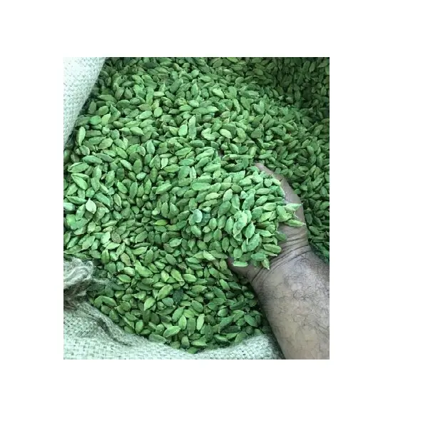 Export Quality Supply Of Cardamom From Indian Supplier Contact to 7530843738