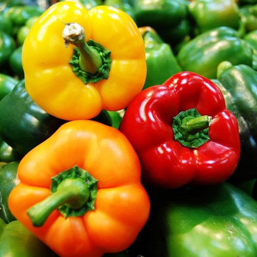 Fresh Red/Yellow/Orange Bell Pepper/Capsicum Vietnam