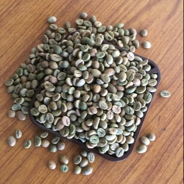 Крупные партии зеленых кофейных зерен Robusta из вишневых зерен коммерческого класса, неочищенные необработанные зерна из цветовой плантации