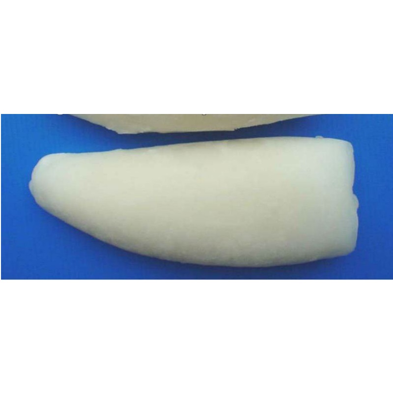 FROZEN CUTTLEFISH FILLET