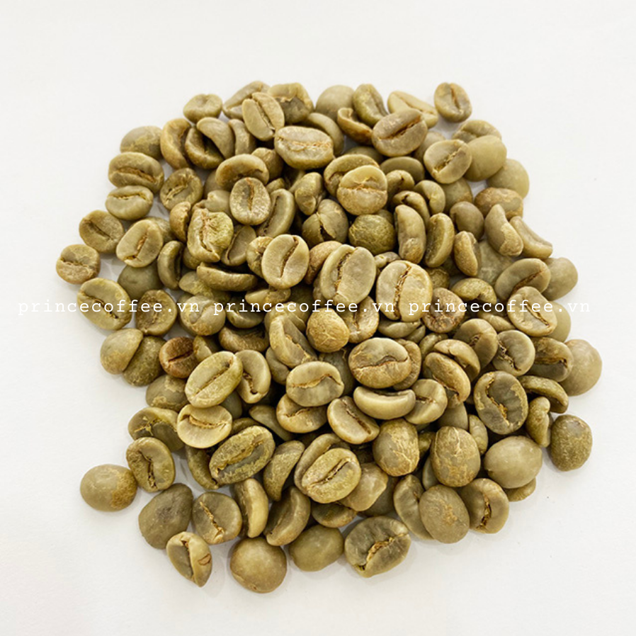 Vietnam Coffee Beans NEW ARRIVAL Arabica Robusta Green Coffee Beans TOP SELLER Raw Coffee Bean