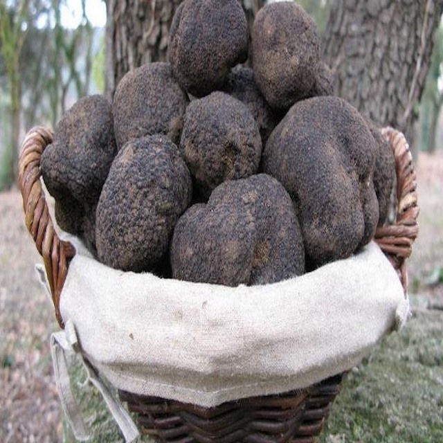 A vendre pour 2021 Les Brisures de Truffes Noires du Perigord - Verrine 200 грамм, хит продаж Le Jus de Truffes Noires du Perigord