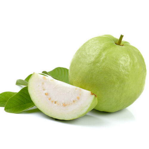 FRESH GUAVA FRUIT MADE IN VIET NAM
