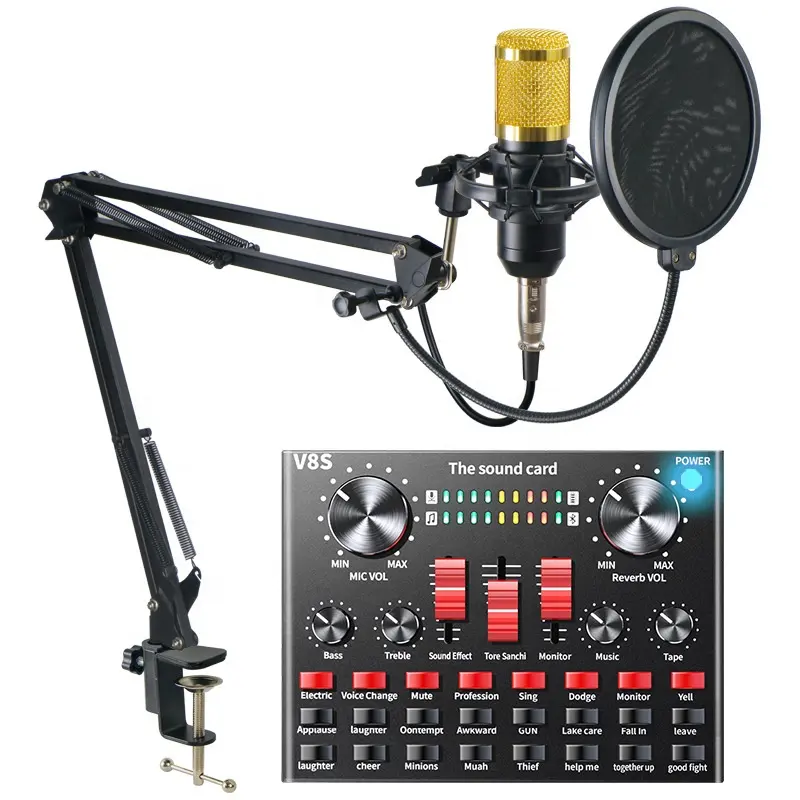 Professional Voice Recording Kit Karaoke V8S Sound Card and BM800 Condenser Microphone