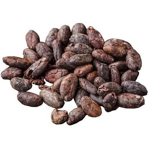 professional supply bulk dried cocoa Beans