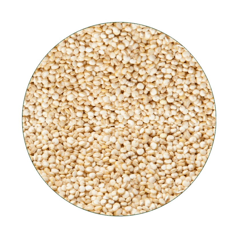 Органический Quinoa, оптовый поставщик