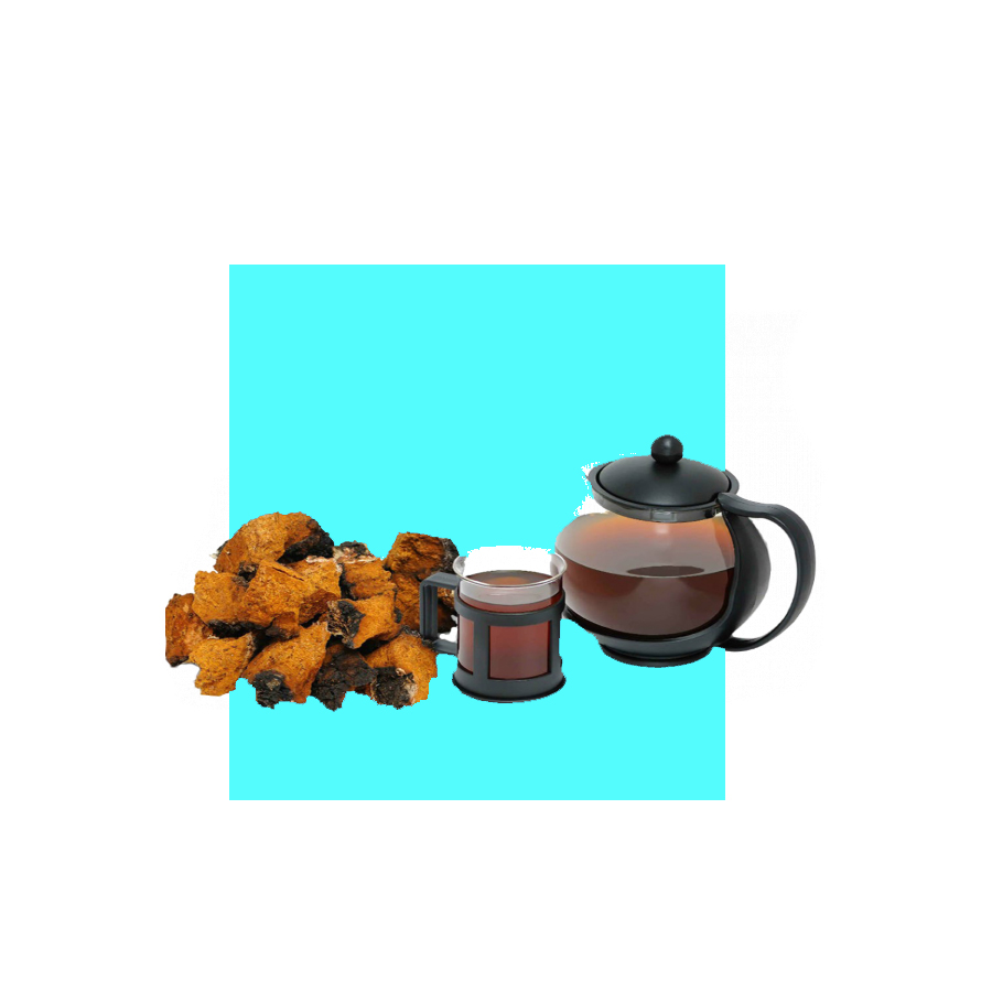 A033 русский органический иннонус Obliquus Chaga гриб