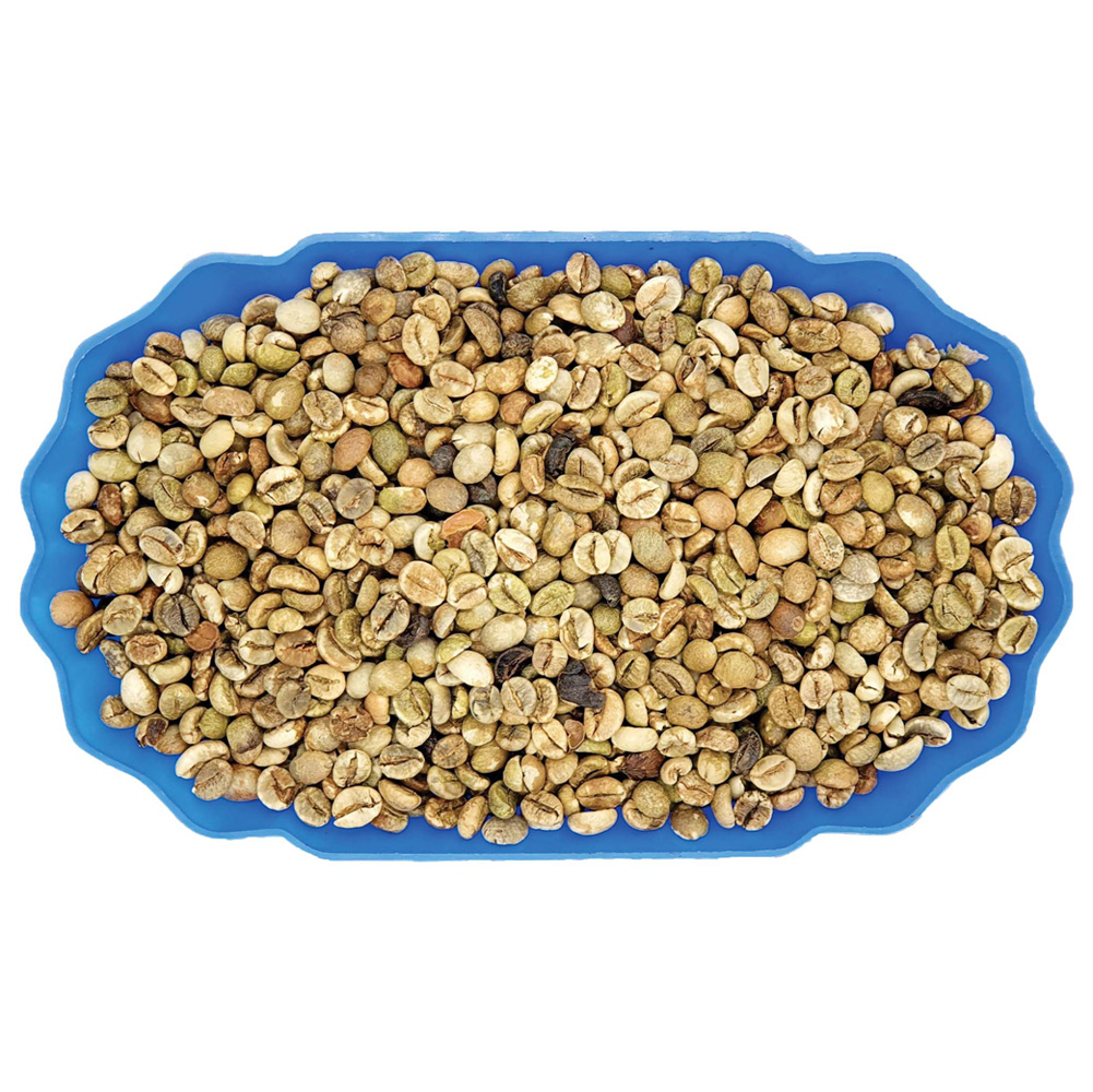 Стандартные зеленые кофейные зерна ROBUSTA 1 SCR 18
