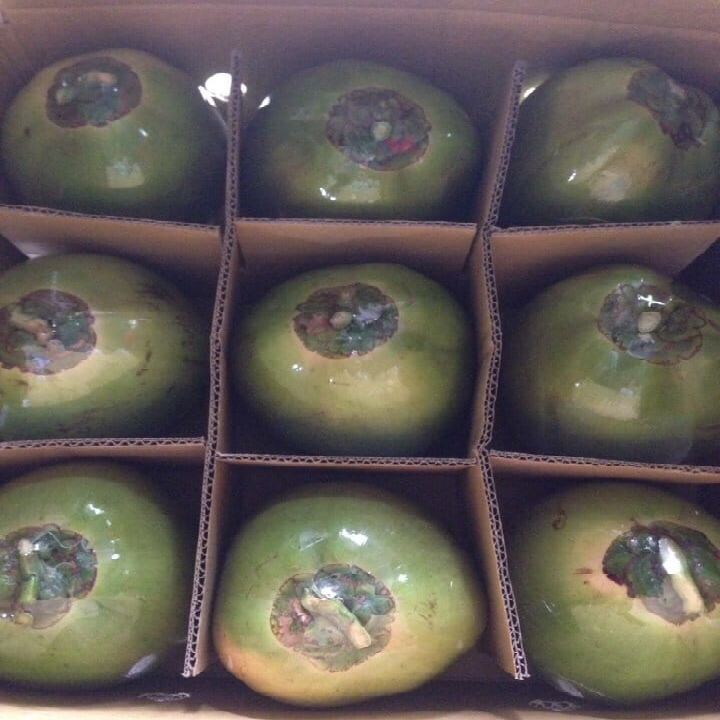 FRESH COCONUT MADE IN VIETNAM +84916611103 whatsapp