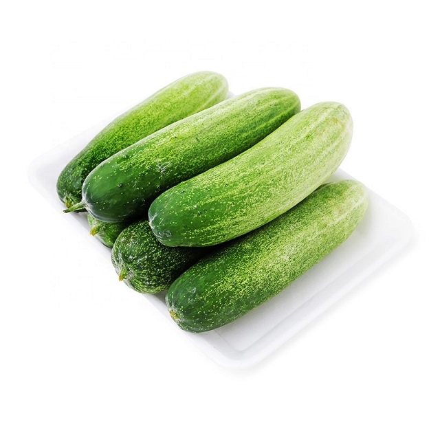 Fresh Vegetables Green Cucumber from Australia ready for export