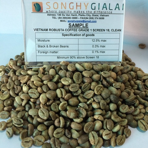 GREEN ROBUSTA COFFEE BEAN CROP 2020 HIGH QUALITY BEST PRICE - SONGHY GIA LAI MANUFACTURE