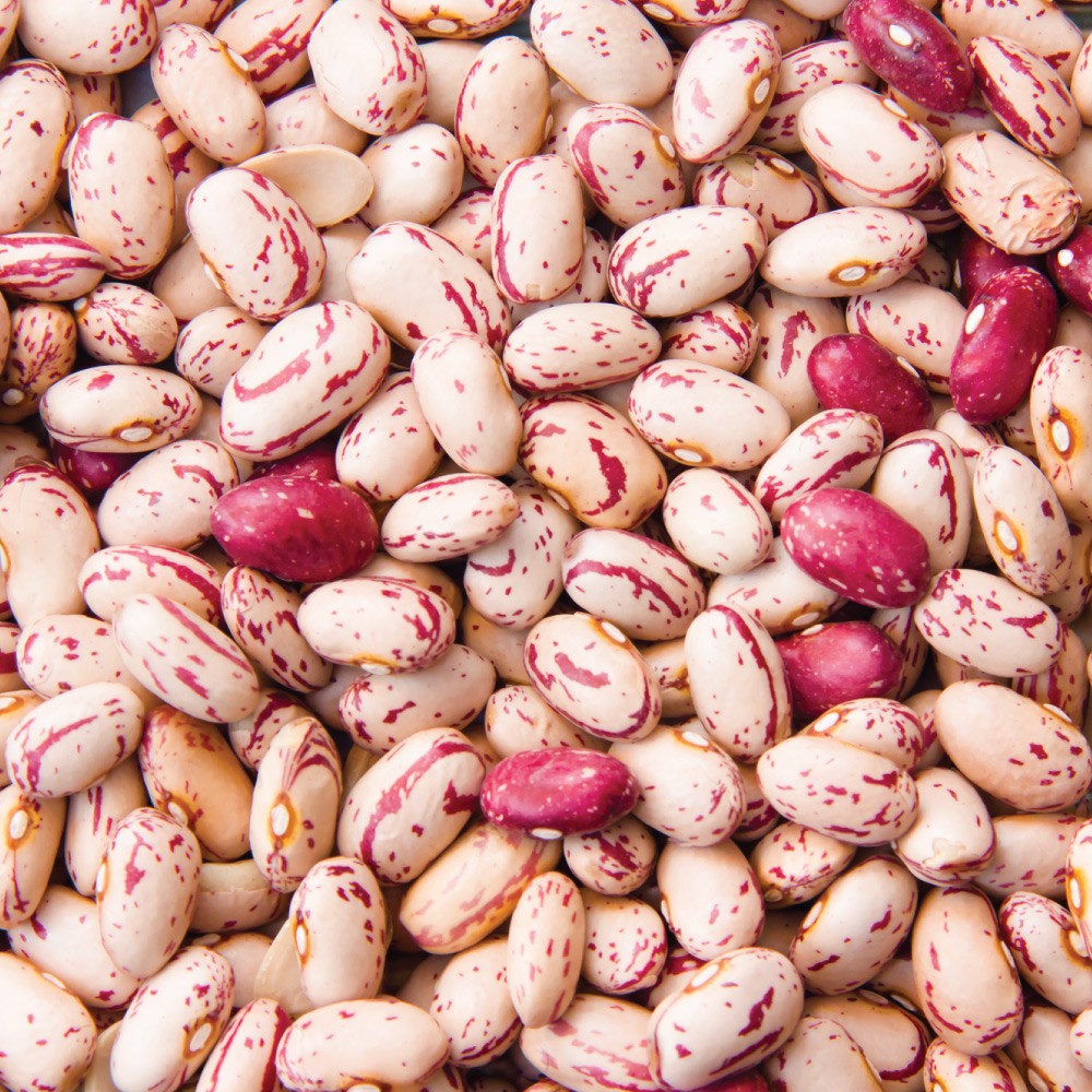 Легкая зернистая фасоль/Pinto Beans/Sugar Beans