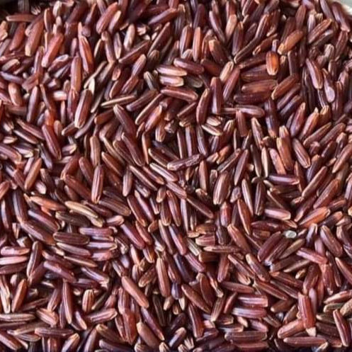 Riz rouge - Vietnam (Whatsapp: + 84865381935)