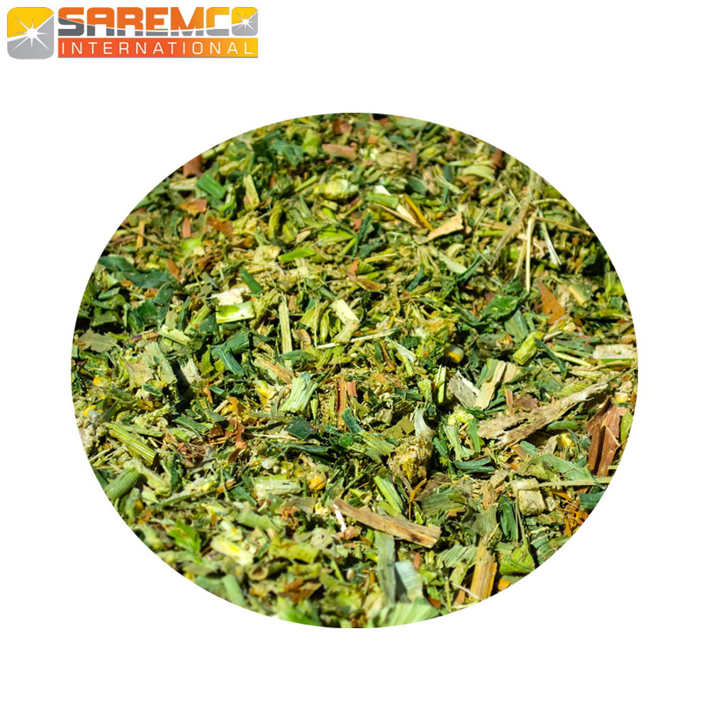 Best Packaging Corn Silage For Animal Forage Cattle Feeding to Japan/Korea/UAE/KSA mainly