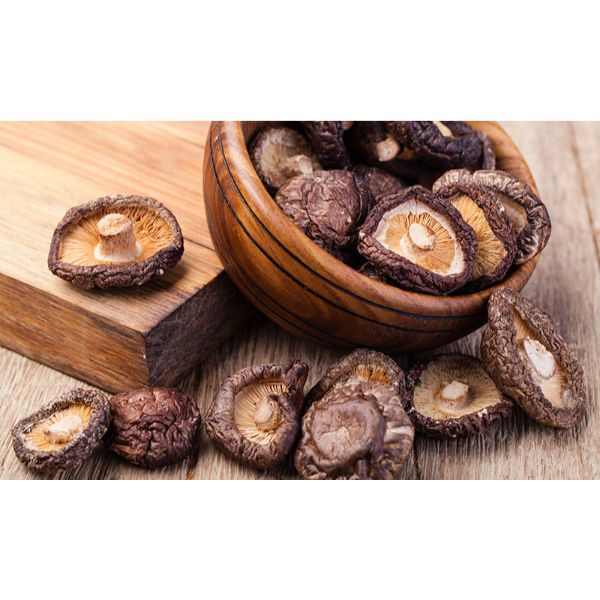 High quality Dried Mushrooms Dehydrated Mushrooms