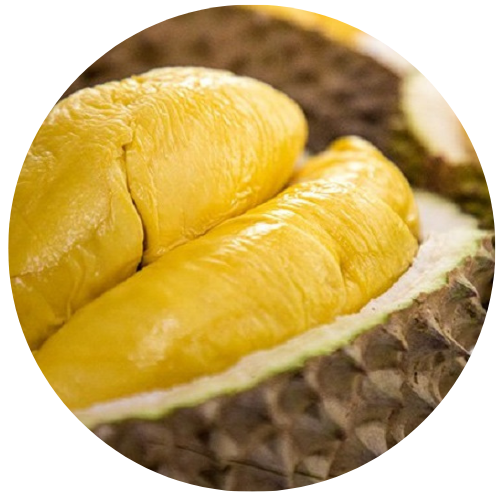 Высокое качество Ri6 Durian в целом от вьетнамского экспортера мисс Эшли + 84 933396640