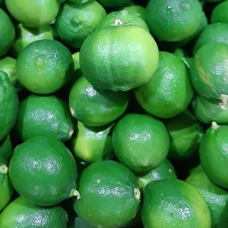 FRESH LEMON / SEEDLESS LEMON/ FRESH LIME +84765149122 (Whatsapp)