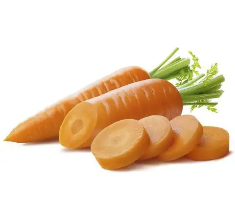 TOP SALE!!! FRESH CARROT with high quality and Best Price New Vietnamese Crop 2023 - - COMPETITIVE PRICE