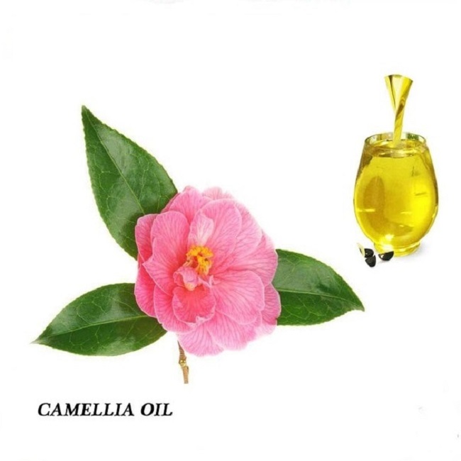 Food Grade Healthy Oil Camellia Seed Oil Supplier and Exporter with Private Label in Bulk