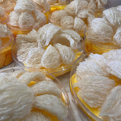 Premium Refined Natural Clean Bird Nests Come with Plastic Box - Brand Bird's Nest From Viet Nam