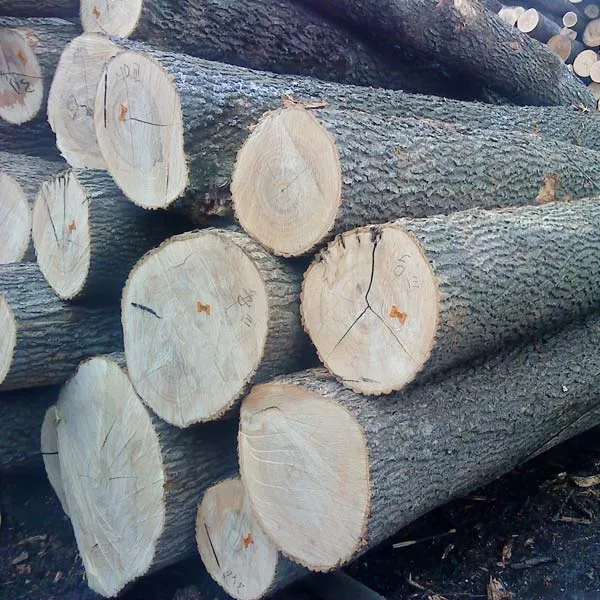 Timber Woods Sawn Teak Wood Logs Pine and Red Cherry Woods