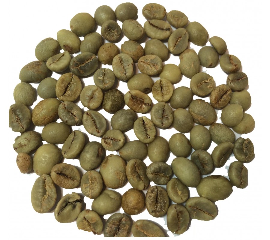 Wholesale Robusta green coffee