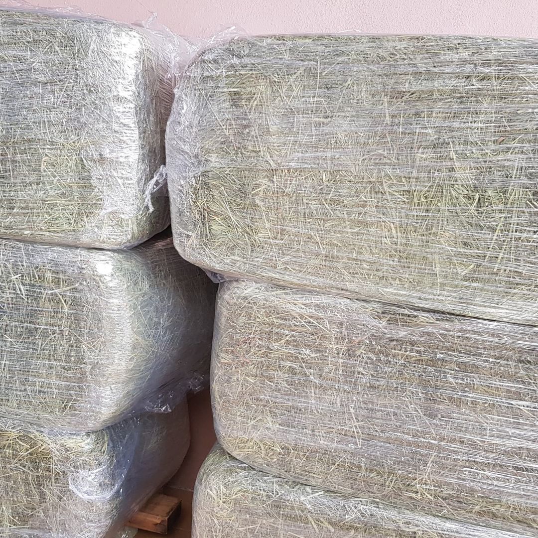 Hay for Animal Feeding Stuff Alfalfa / Timothy / Alfalfa Hay for Sale