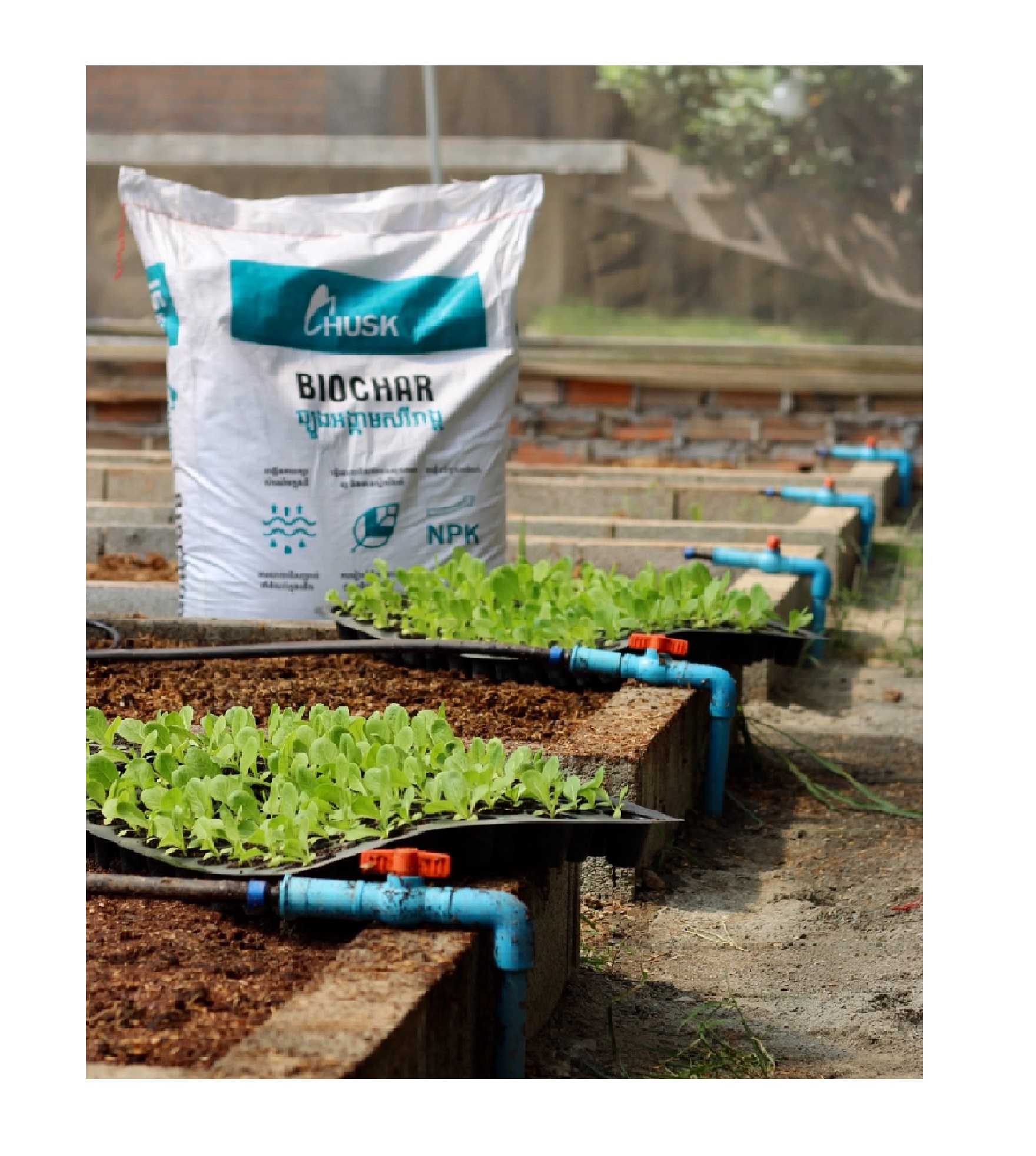 Organic Biochar Solid Fertilizer Husk Biochar Fertilizer Good Price Sale