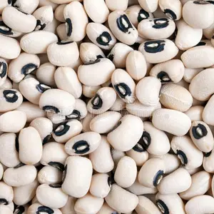Thailand Origin Seller of Common Cultivation Type Dried Black Eyed Beans at Competitive Price