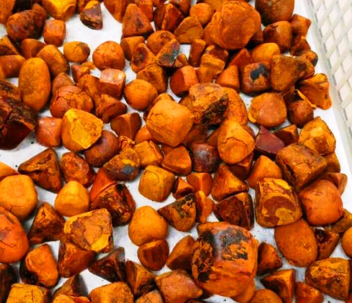 2021 Natural Bezoar (Gallstone) , Cow Bezoar Gallstones