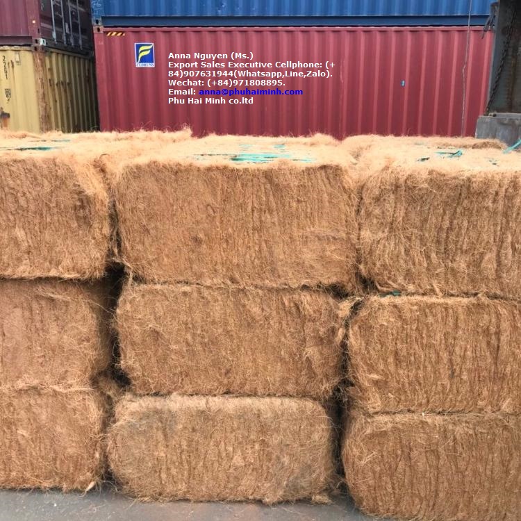 Вьетнам Кокосовое волокно с лучшей ценой из Вьетнама.(wechat: + 84971808895)