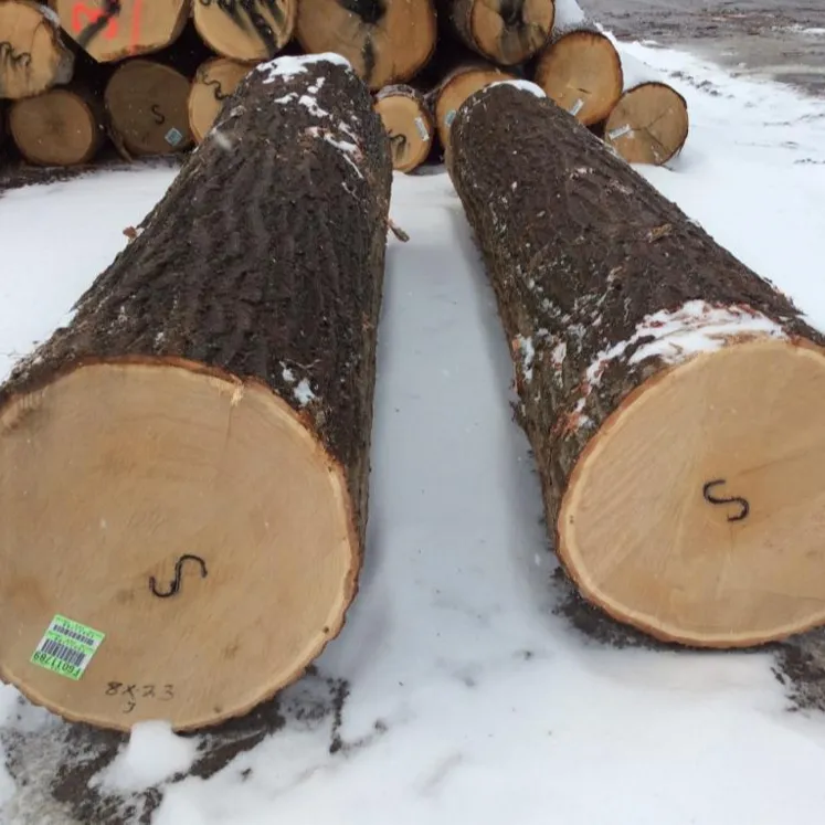 PINE Wood logs Birch Wood Logs Spruce Wood Logs