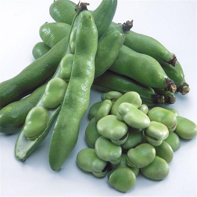 Broad Beans high quality dry raw fresh frozen Broad Bean fava bean green iqf whole raw frozen split broad beans vicia