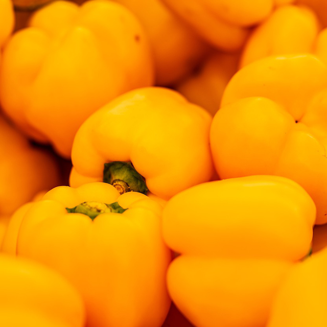Capsicum Yellow
