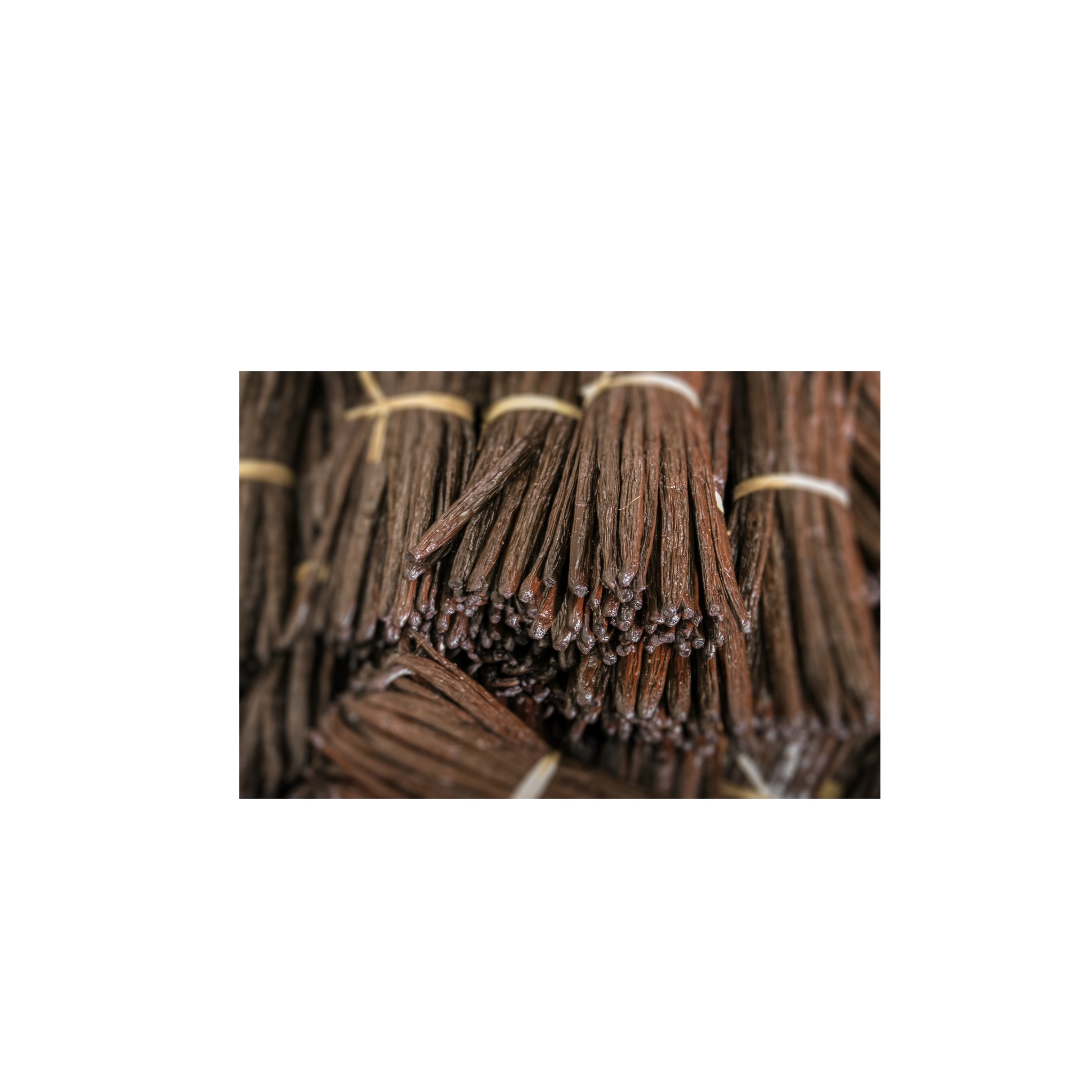 Organic Vanilla Beans Madagascar  Premium Gourmet Grade One