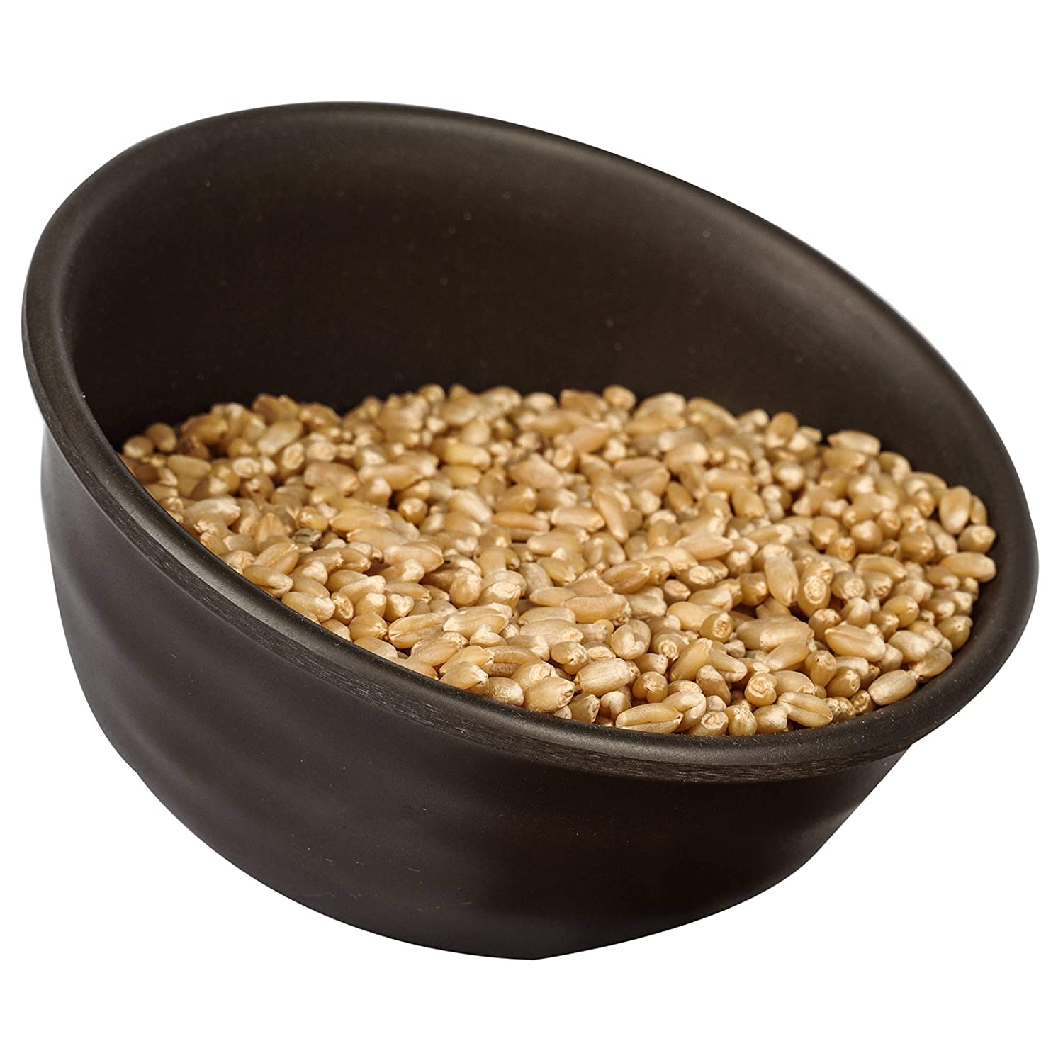 EXPORTER OF HARD WHEAT FROM INDIA - MN GLOBAL IMPEX for Argentina
