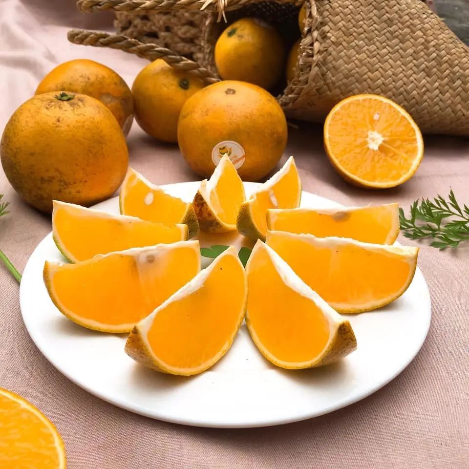 Wholesale High Quality Best Price Hot Selling Delicious Sweet and Sour Organic Bag Ripe Orange from Vietnam for Sale