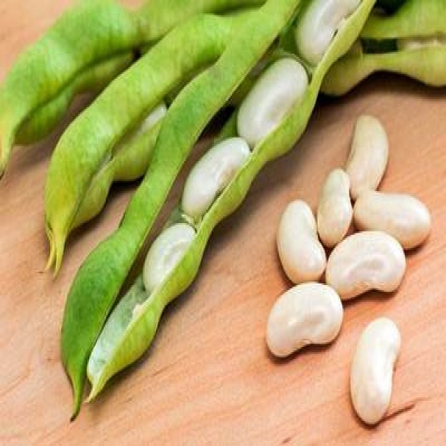 Сушеные лимовые бобы, бобы Haricot, фасоль для почек...