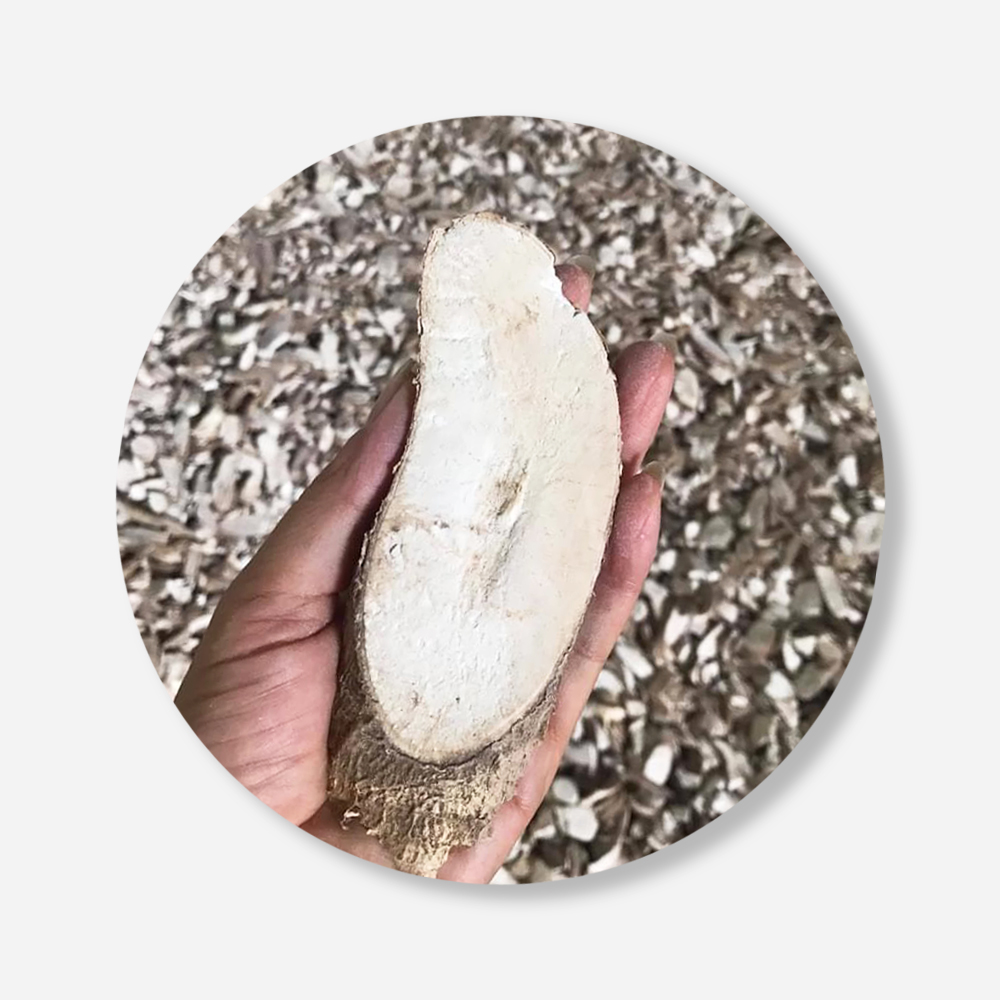 Best Dried Cassava Chips For Food Industry or Making Animal Feed and Ethanol